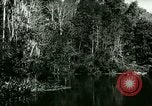 Immagine di Silver Springs Florida United States USA, 1920, secondo 40 filmato di repertorio 65675059850
