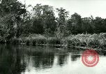 Immagine di Silver Springs Florida United States USA, 1920, secondo 41 filmato di repertorio 65675059850