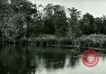 Immagine di Silver Springs Florida United States USA, 1920, secondo 42 filmato di repertorio 65675059850