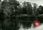 Immagine di Silver Springs Florida United States USA, 1920, secondo 43 filmato di repertorio 65675059850