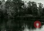 Immagine di Silver Springs Florida United States USA, 1920, secondo 44 filmato di repertorio 65675059850