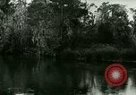 Immagine di Silver Springs Florida United States USA, 1920, secondo 45 filmato di repertorio 65675059850