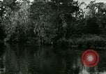 Immagine di Silver Springs Florida United States USA, 1920, secondo 46 filmato di repertorio 65675059850