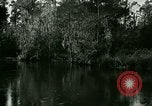 Immagine di Silver Springs Florida United States USA, 1920, secondo 47 filmato di repertorio 65675059850