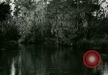 Immagine di Silver Springs Florida United States USA, 1920, secondo 48 filmato di repertorio 65675059850