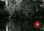 Immagine di Silver Springs Florida United States USA, 1920, secondo 49 filmato di repertorio 65675059850
