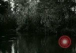 Immagine di Silver Springs Florida United States USA, 1920, secondo 50 filmato di repertorio 65675059850
