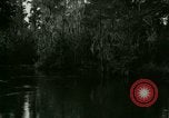 Immagine di Silver Springs Florida United States USA, 1920, secondo 51 filmato di repertorio 65675059850