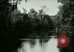 Immagine di Silver Springs Florida United States USA, 1920, secondo 52 filmato di repertorio 65675059850