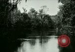 Immagine di Silver Springs Florida United States USA, 1920, secondo 54 filmato di repertorio 65675059850