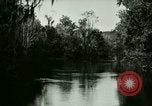 Immagine di Silver Springs Florida United States USA, 1920, secondo 55 filmato di repertorio 65675059850
