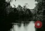 Immagine di Silver Springs Florida United States USA, 1920, secondo 56 filmato di repertorio 65675059850