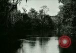 Immagine di Silver Springs Florida United States USA, 1920, secondo 57 filmato di repertorio 65675059850