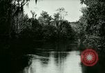 Immagine di Silver Springs Florida United States USA, 1920, secondo 58 filmato di repertorio 65675059850