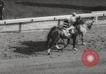 Image of Decidedly Louisville Kentucky USA, 1962, second 52 stock footage video 65675059856