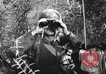 Image of American soldiers United States USA, 1943, second 42 stock footage video 65675059867