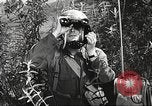 Image of American soldiers United States USA, 1943, second 56 stock footage video 65675059867