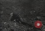 Image of American soldiers United States USA, 1943, second 11 stock footage video 65675059870