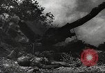 Image of American soldiers United States USA, 1943, second 3 stock footage video 65675059871
