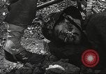 Image of American soldiers United States USA, 1943, second 6 stock footage video 65675059871