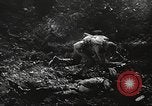 Image of American soldiers United States USA, 1943, second 43 stock footage video 65675059871