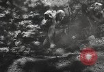 Image of American soldiers United States USA, 1943, second 53 stock footage video 65675059872