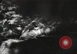 Image of American soldiers United States USA, 1943, second 62 stock footage video 65675059872