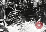 Image of Seabees Colorado United States USA, 1950, second 36 stock footage video 65675059887