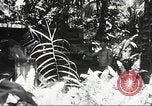 Image of Seabees Colorado United States USA, 1950, second 38 stock footage video 65675059887