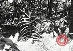 Image of Seabees Colorado United States USA, 1950, second 39 stock footage video 65675059887