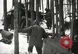 Image of Seabees Colorado United States USA, 1950, second 59 stock footage video 65675059888