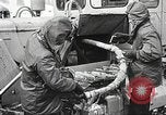 Image of Seabees Colorado United States USA, 1950, second 12 stock footage video 65675059889