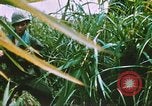 Image of Chaplain Corps Vietnam, 1965, second 45 stock footage video 65675059893