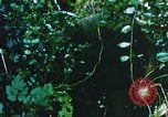 Image of Chaplain Corps Vietnam, 1965, second 48 stock footage video 65675059893