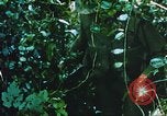 Image of Chaplain Corps Vietnam, 1965, second 49 stock footage video 65675059893