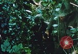 Image of Chaplain Corps Vietnam, 1965, second 50 stock footage video 65675059893