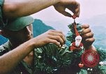 Image of troops celebrate Christmas Vietnam, 1968, second 30 stock footage video 65675059895