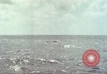 Image of USS Bluefish Pacific Ocean, 1945, second 31 stock footage video 65675059897