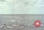 Image of USS Bluefish Pacific Ocean, 1945, second 32 stock footage video 65675059897