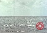 Image of USS Bluefish Pacific Ocean, 1945, second 34 stock footage video 65675059897