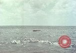 Image of USS Bluefish Pacific Ocean, 1945, second 35 stock footage video 65675059897