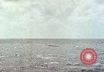 Image of USS Bluefish Pacific Ocean, 1945, second 37 stock footage video 65675059897