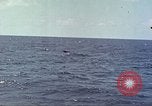 Image of USS Bluefish Pacific Ocean, 1945, second 38 stock footage video 65675059897