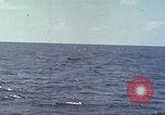 Image of USS Bluefish Pacific Ocean, 1945, second 39 stock footage video 65675059897