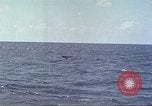 Image of USS Bluefish Pacific Ocean, 1945, second 40 stock footage video 65675059897