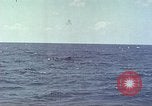 Image of USS Bluefish Pacific Ocean, 1945, second 42 stock footage video 65675059897