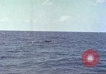 Image of USS Bluefish Pacific Ocean, 1945, second 43 stock footage video 65675059897