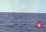 Image of USS Bluefish Pacific Ocean, 1945, second 44 stock footage video 65675059897