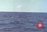 Image of USS Bluefish Pacific Ocean, 1945, second 45 stock footage video 65675059897