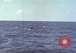 Image of USS Bluefish Pacific Ocean, 1945, second 47 stock footage video 65675059897